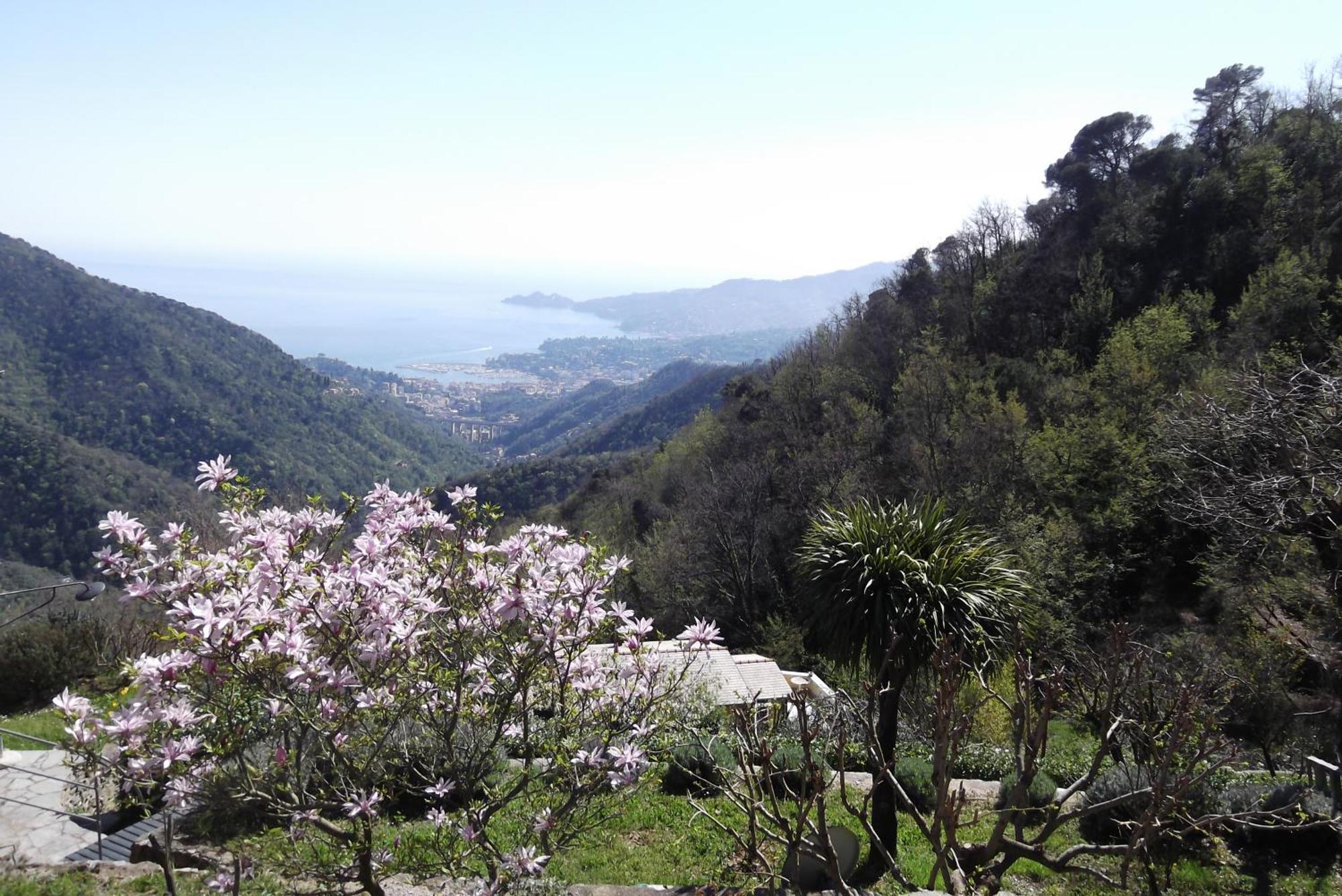 Ferienwohnung Vista Portofino Rapallo Exterior foto